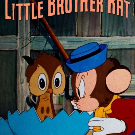 Little Brother Rat