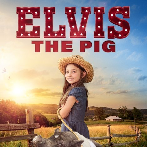 Elvis the Pig