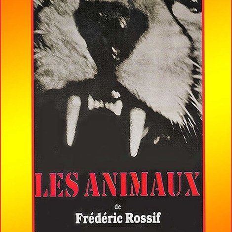 Les Animaux