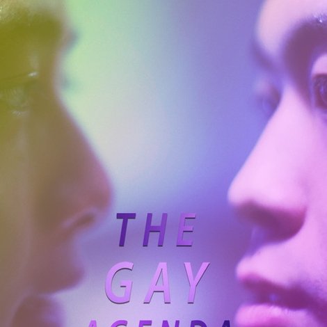The Gay Agenda 19