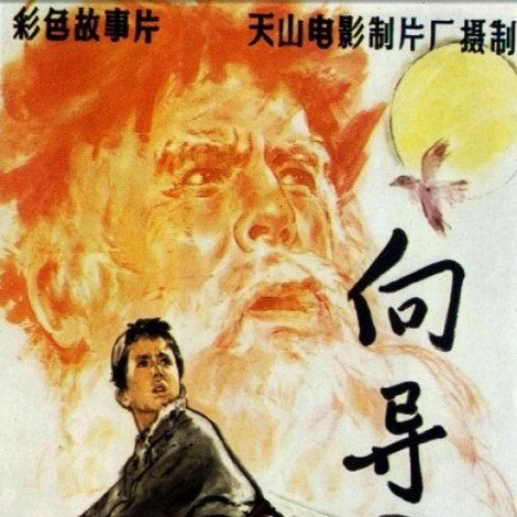 向导