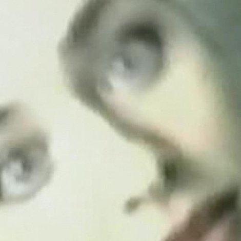 Mutaflor