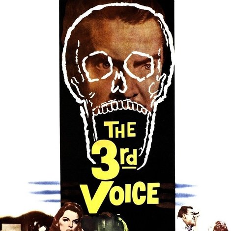 The 3rd Voice
