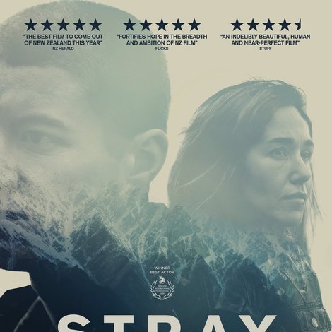 Stray
