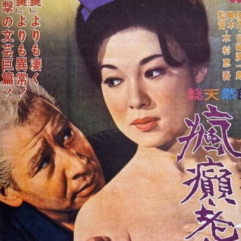 瘋癲老人日記