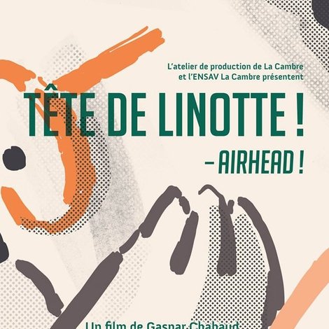 TĂȘte de linotte!