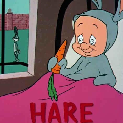 Hare Brush