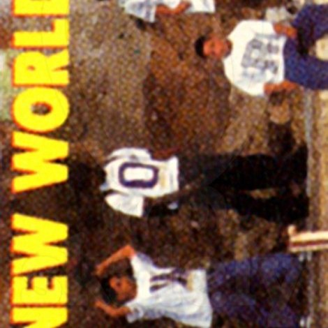 World Industries - New World Order