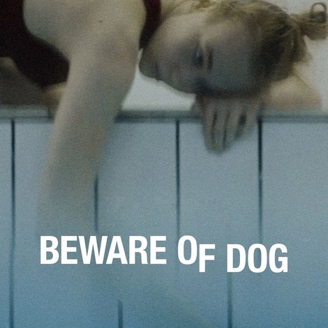 Beware of Dog