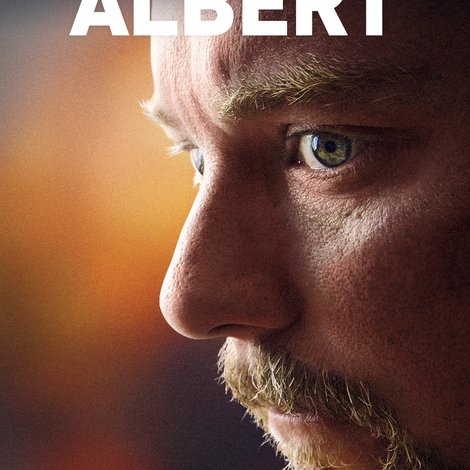 Constructing Albert