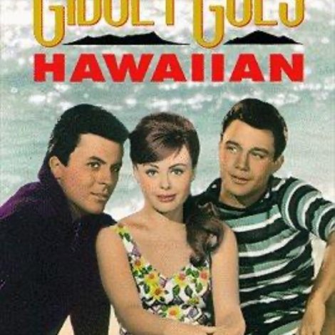 Gidget Goes Hawaiian