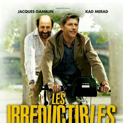 Les Irréductibles
