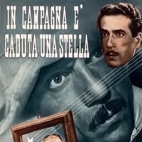 In campagna è caduta una stella