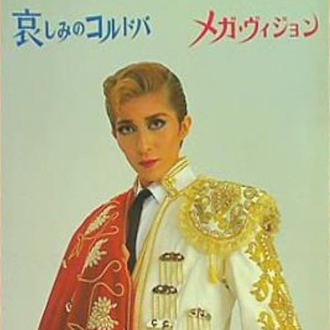 メガ・ヴィジョン