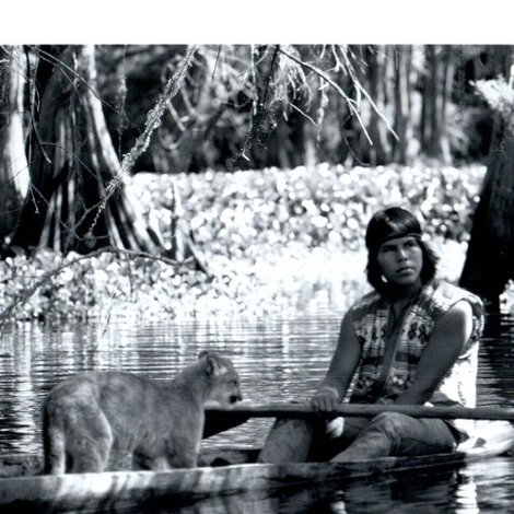 Shokee, the Everglades Panther