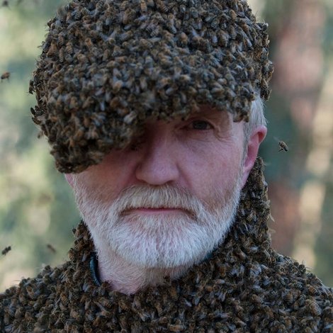 Ultimate Swarms