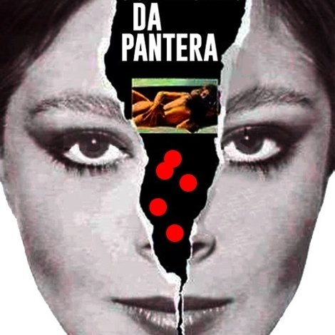 Os Amores da Pantera