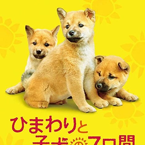 ひまわりと子犬の7日間