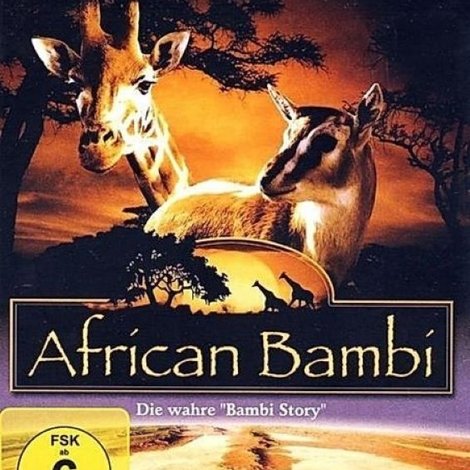 African Bambi