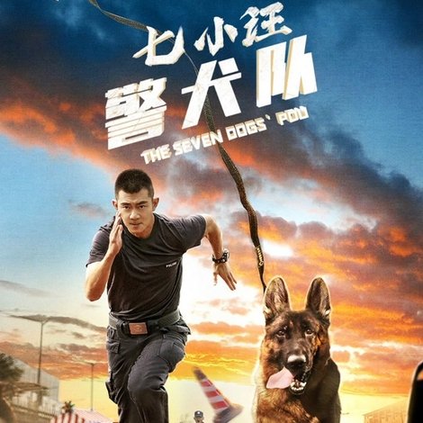 七小汪警犬队