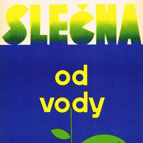 Slečna od vody