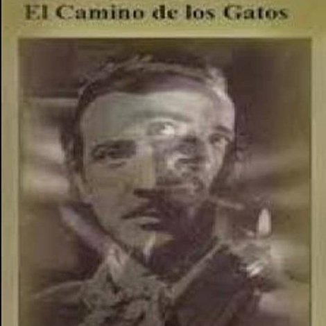 El camino de los gatos