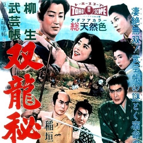 柳生武芸帳 双龍秘剣