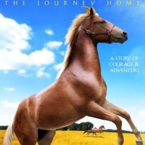 Lost Stallions: The Journey Home