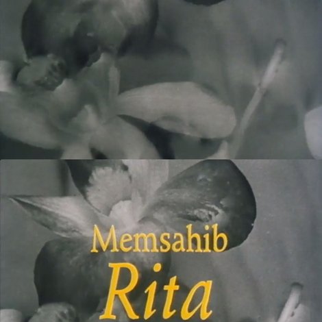 Memsahib Rita