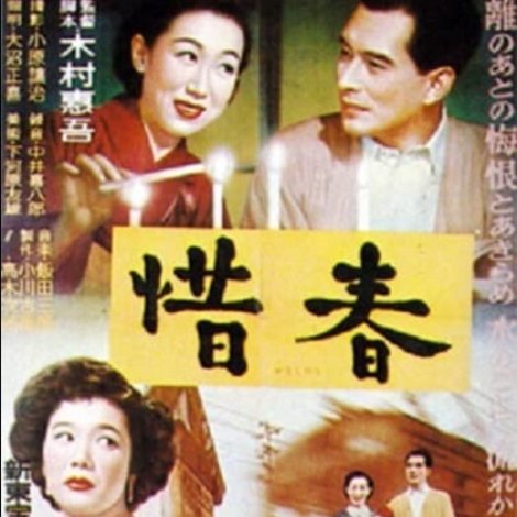 惜春