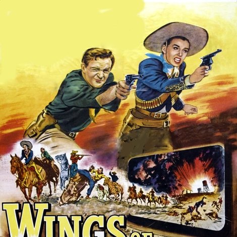 Wings of the Hawk