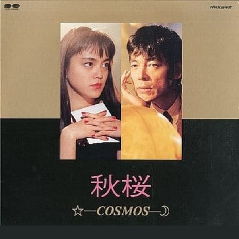 秋桜 - Cosmos