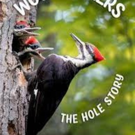 Woodpeckers: The Hole Story