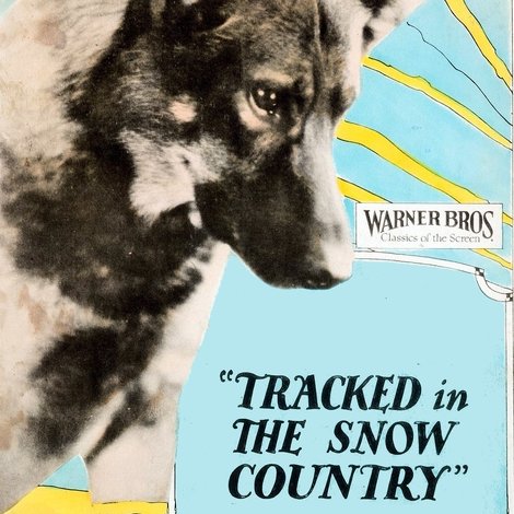Tracked in the Snow Country