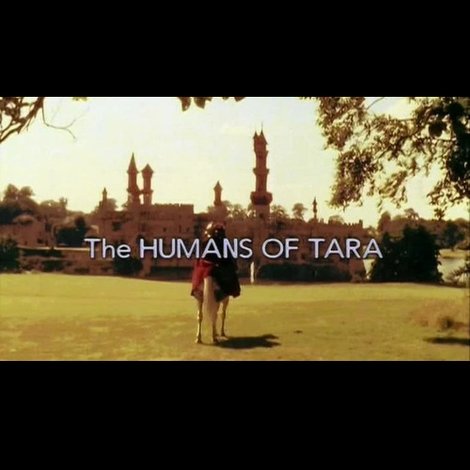 The Humans of Tara