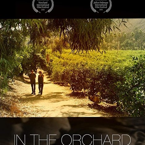 In The Orchard
