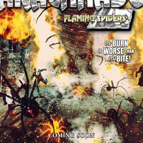 Arachnado 2: Flaming Spiders