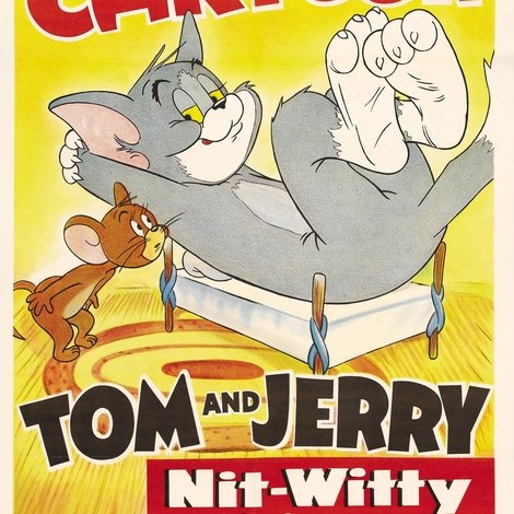 Nit-Witty Kitty