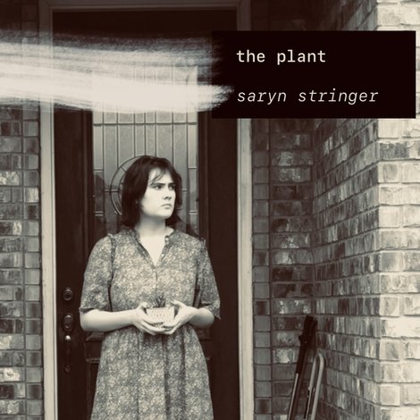 Predicamented: The Plant