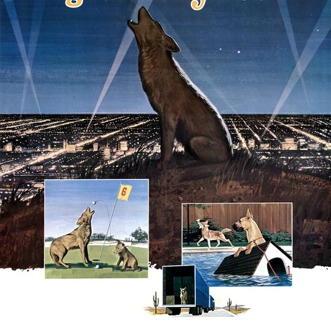 A Country Coyote Goes Hollywood