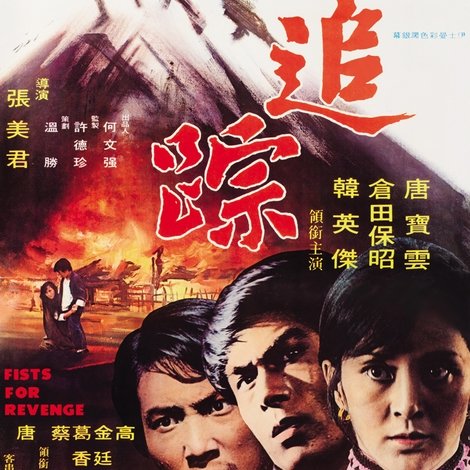 大追踪