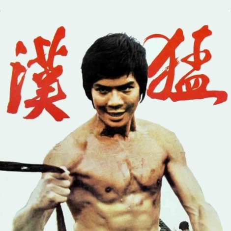 Meng hu dou kuang long
