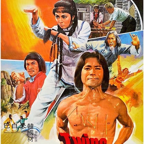 Twins of Kung Fu