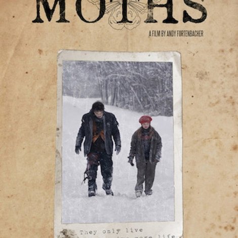Moths