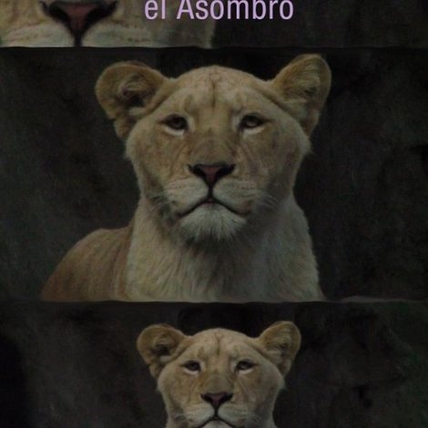 El asombro