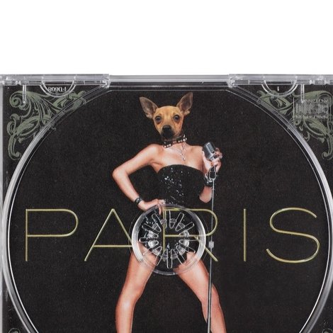 The Punking of Paris Hilton