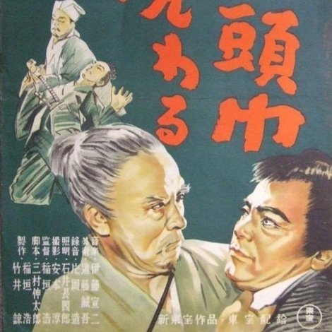 白頭巾現わる