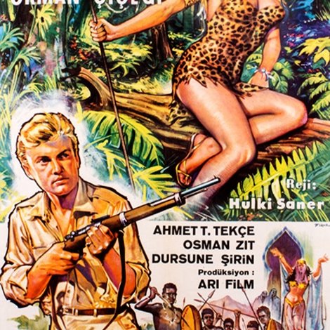 Nilüfer Orman Çiçeği