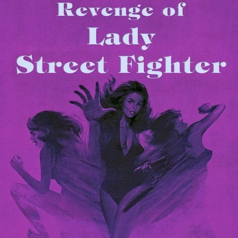 Revenge of Lady Street Fighter