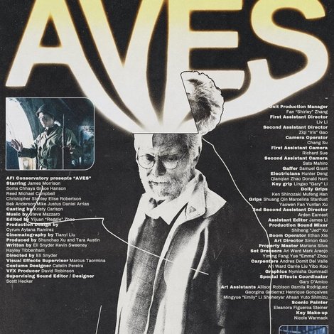 Aves
